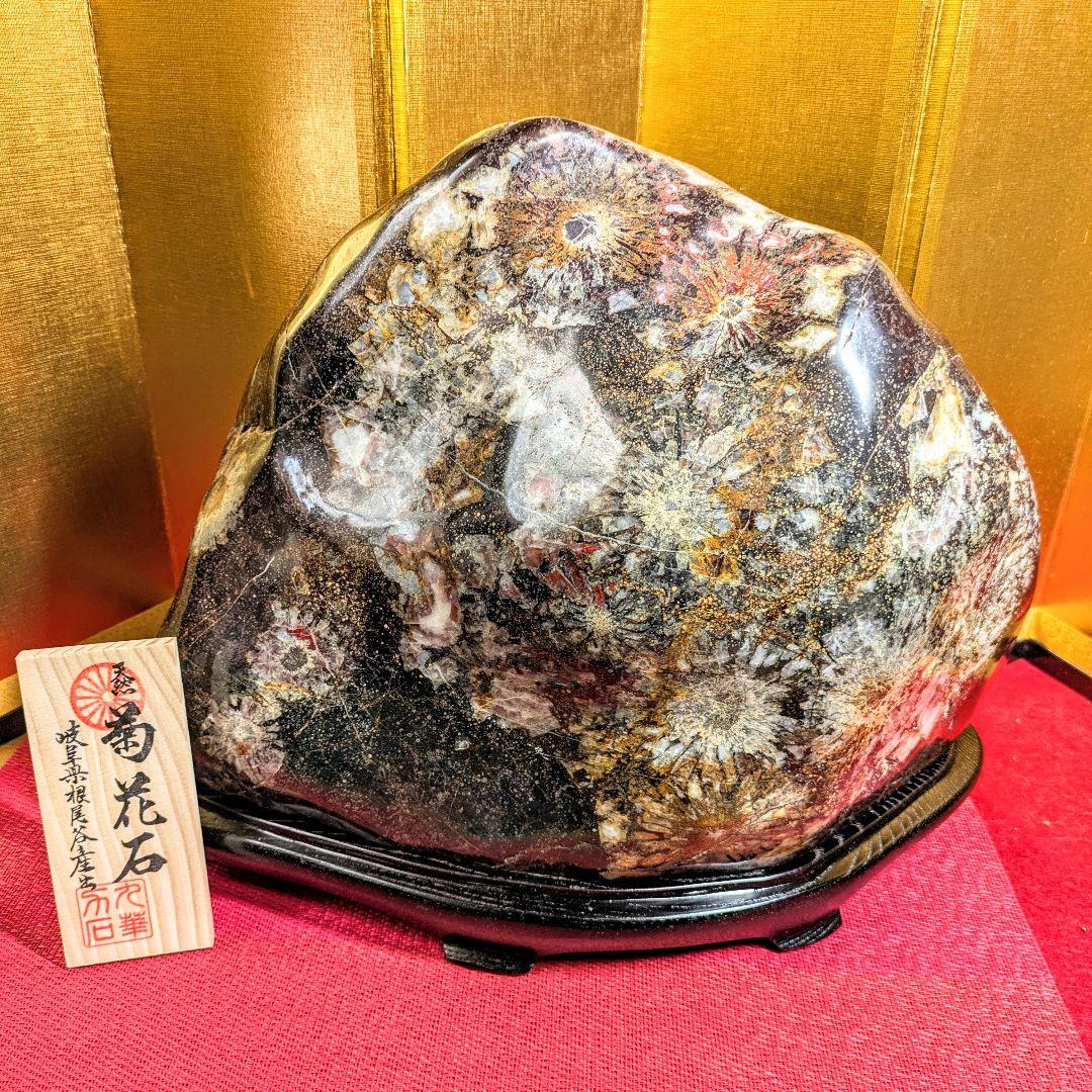 菊花石 岐阜県根尾谷産16.2㌔ 鑑賞石 観賞石 水石 盆石 天然石 置物