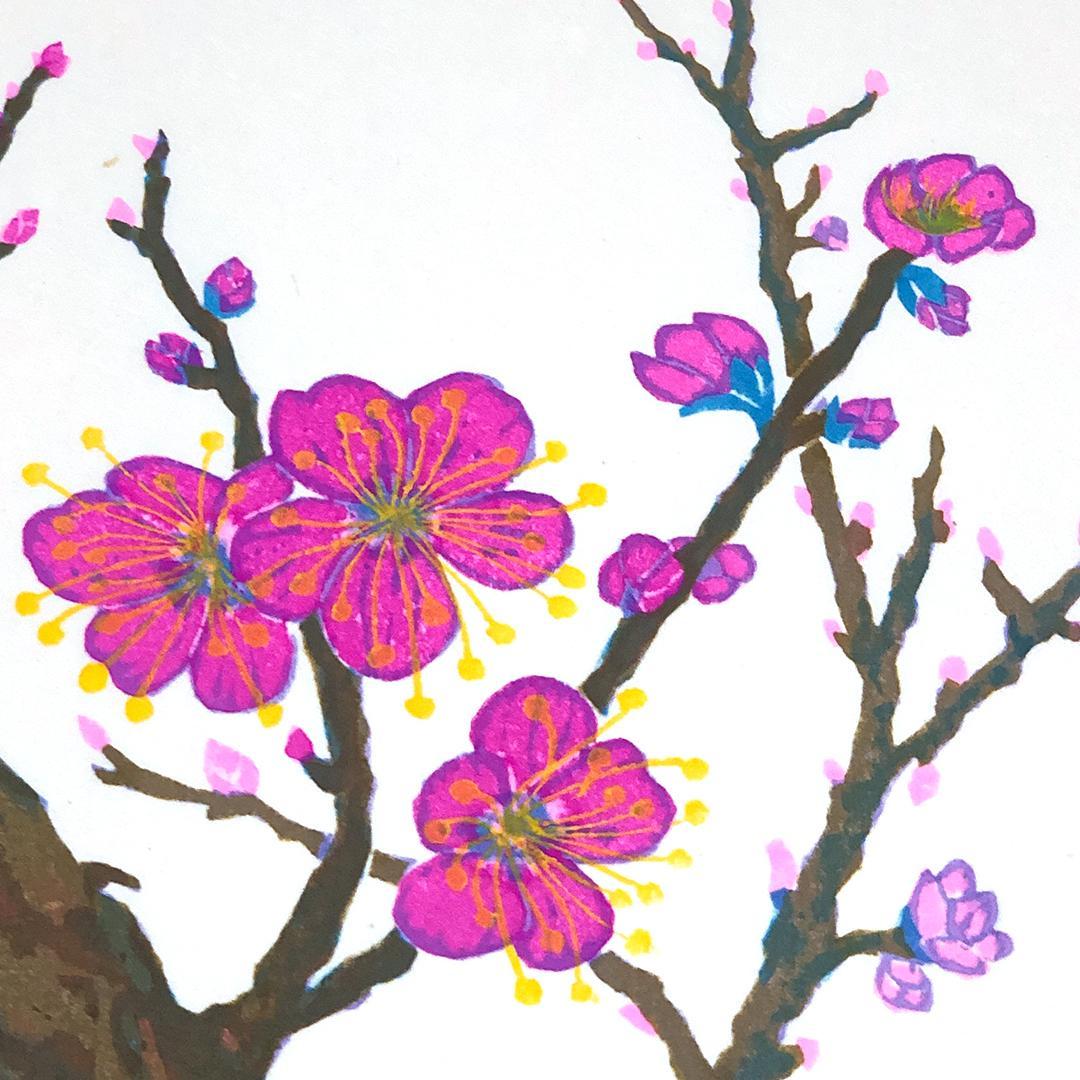 版画 [ 馬渕晃 梅 × 1 芙蓉 ( ふよう ) × 1 藤 × 2 ] - メルカリ
