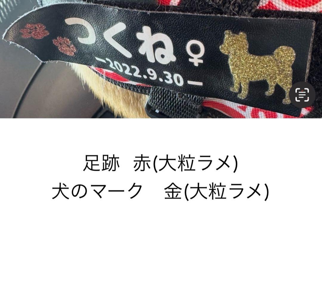 ユリウスネームタグオーダー用画像 ユリウス ハーネス 名前 ユリウスk9 ネームタグ オーダー ユリウス