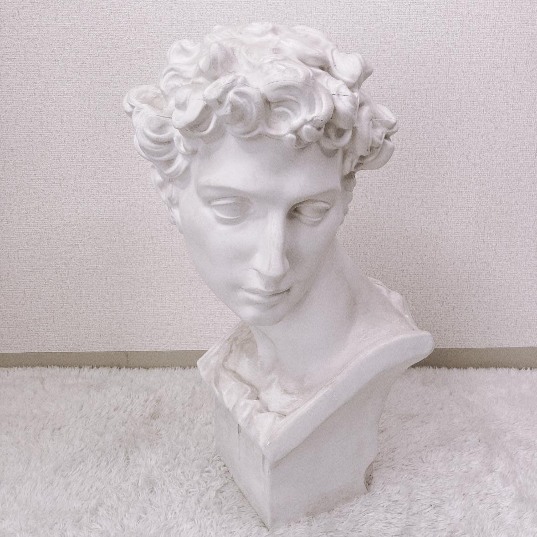 石膏像 メディチ 胸像 ダビデ像 古代ギリシャ ミケランジェロ デッサン