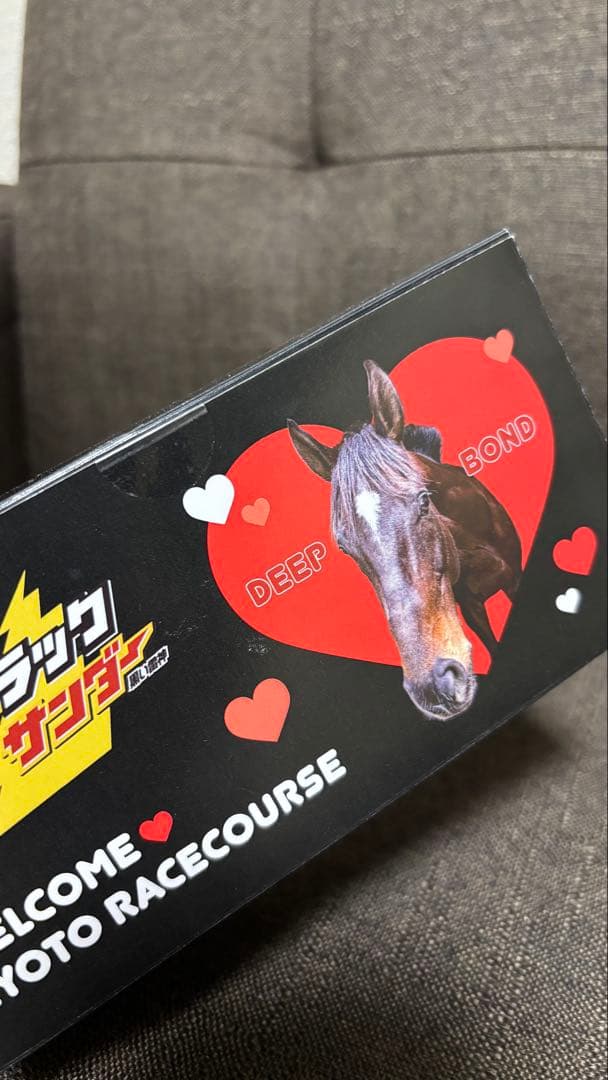 JRA 京都競馬場 Welcomeチャンス ディープボンドブラックサンダー