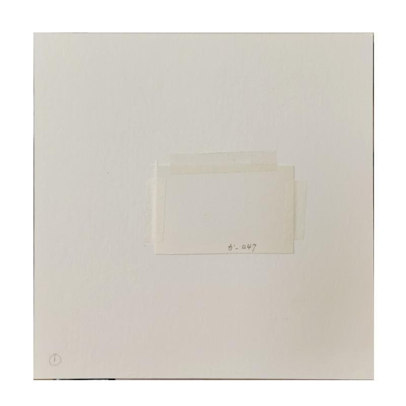 ☆坂本直行☆「エゾウサギギク」ペン画 小作品20角額 未使用！の通販