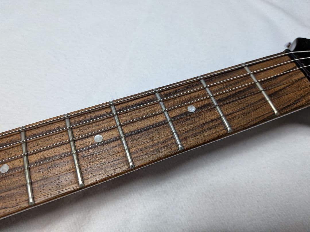 FERNANDES APG-60 美品 - メルカリ