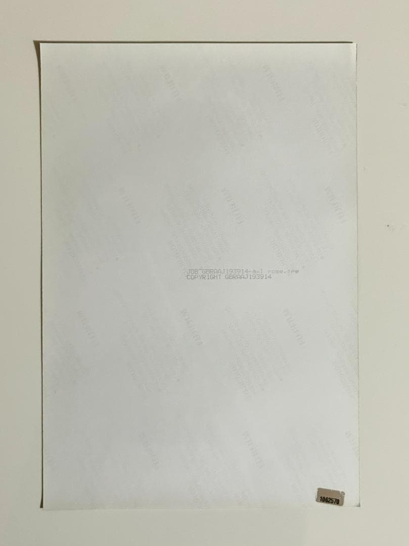 AXL ROSE直筆サイン入りポートレート◇証明書付き◇アクセルローズ