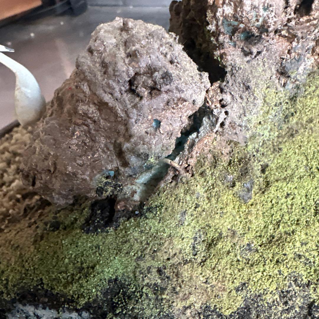 フェイク！中型盆栽 苔と土の植え込みの鉢 - メルカリ