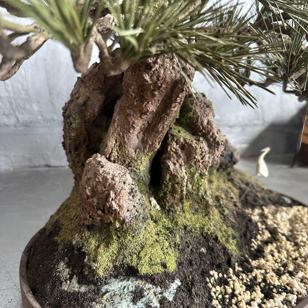 フェイク！中型盆栽 苔と土の植え込みの鉢 - メルカリ