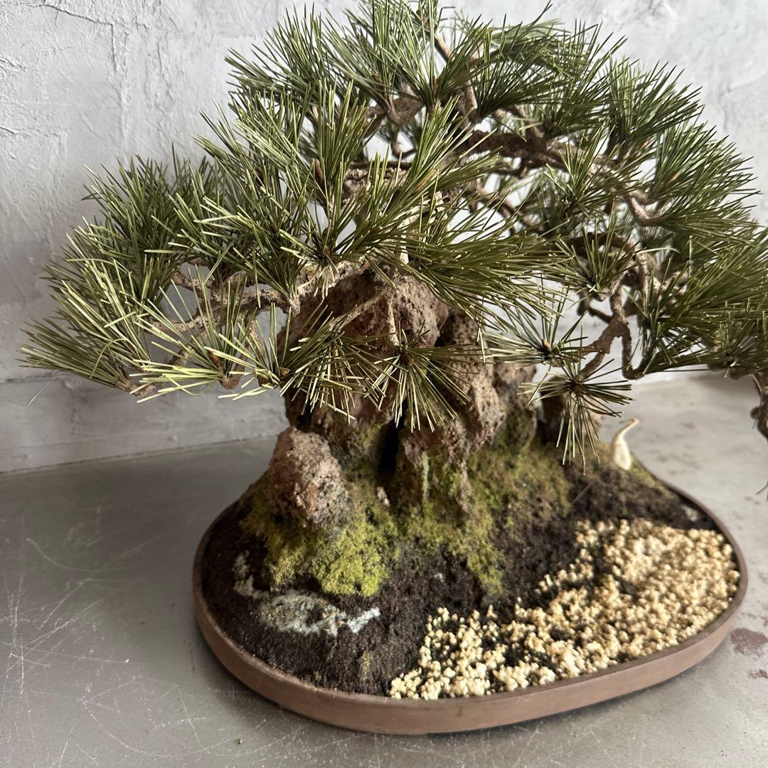 フェイク！中型盆栽 苔と土の植え込みの鉢 - メルカリ