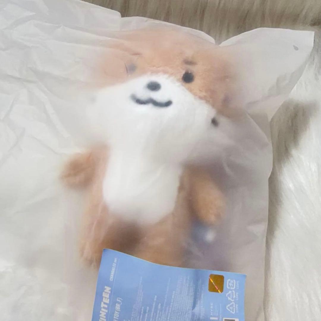 ミニティーン ディノ チャンダリ ぬいぐるみSEVENTEEN プラッシュトイ