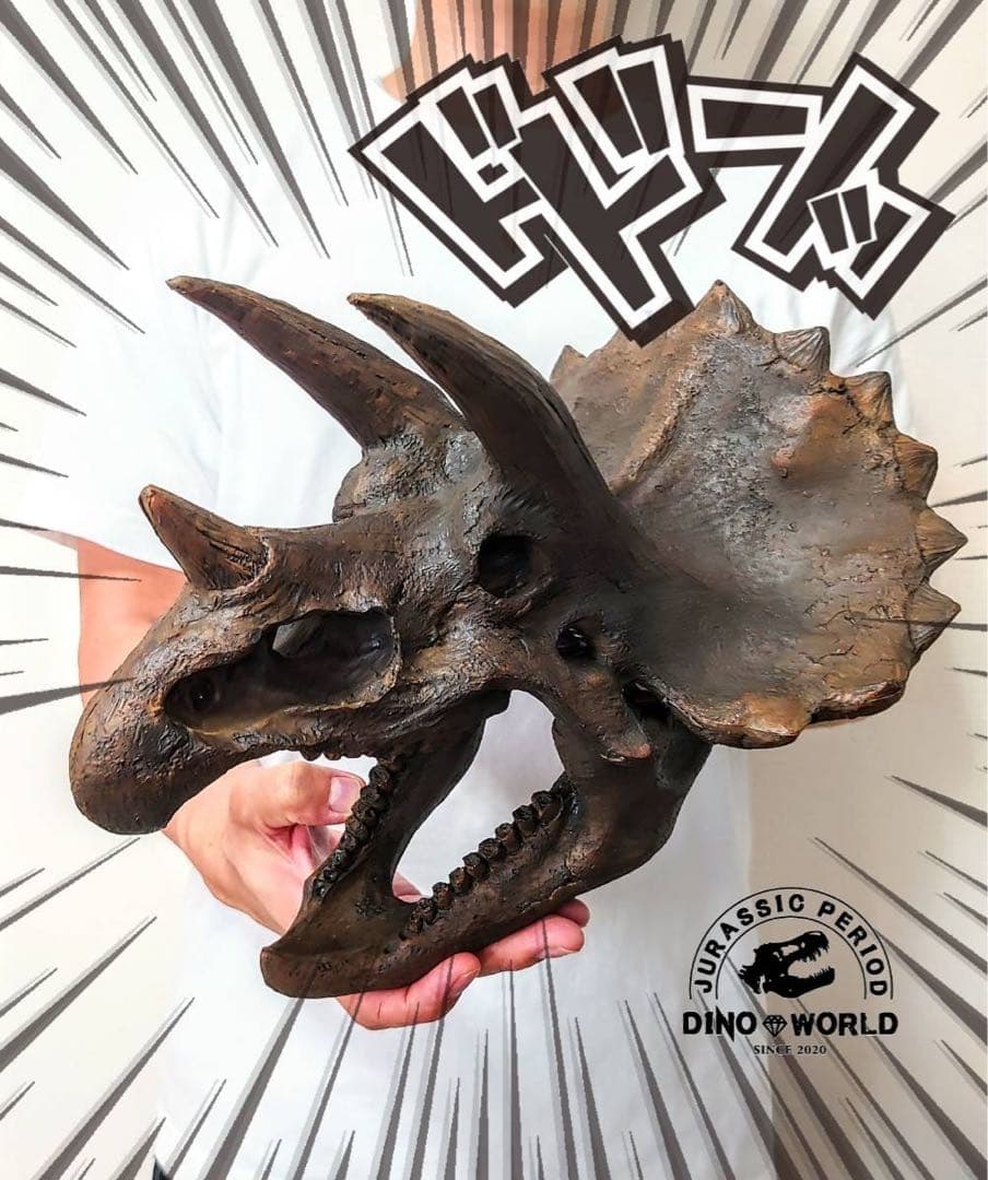 お得な2個セット！ ティラノサウルス 化石 インテリア 雑貨 オブジェ