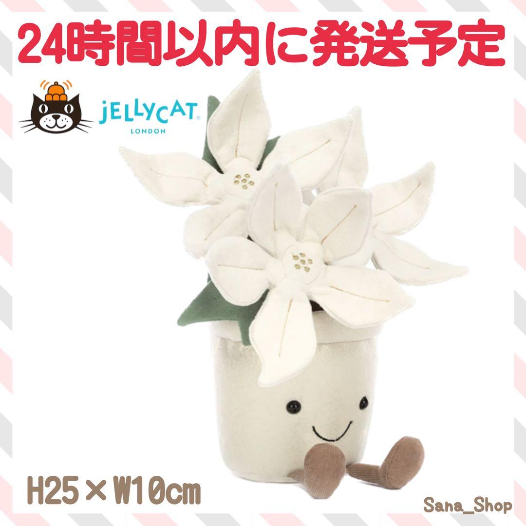 新品 ジェリーキャット ポインセチア ぬいぐるみ クリスマス 花 植物