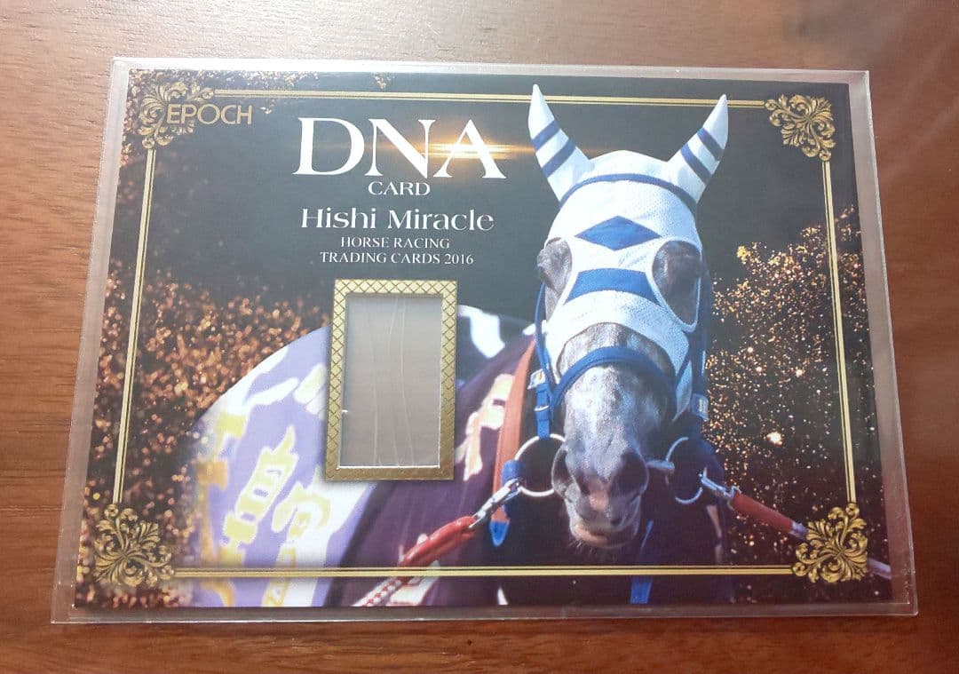 最終値下げ】ウマ娘 ヒシミラクル DNAカード 希少 ホースレーシング