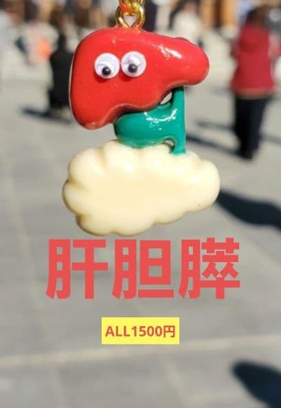 脾臓膵臓臓器手作りキーホルダー看護オペ