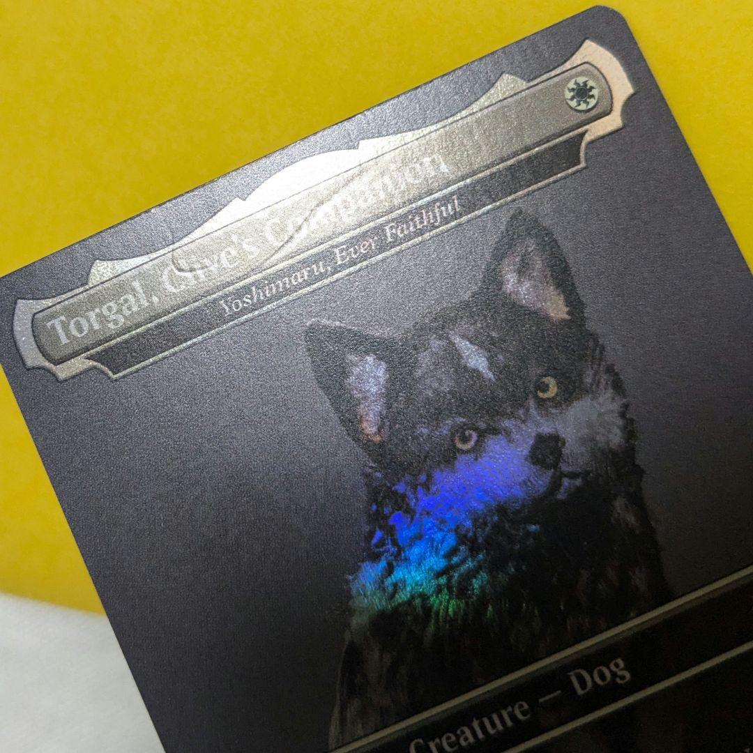傷、白カケ有り】 MTG FF トルガル プロモ