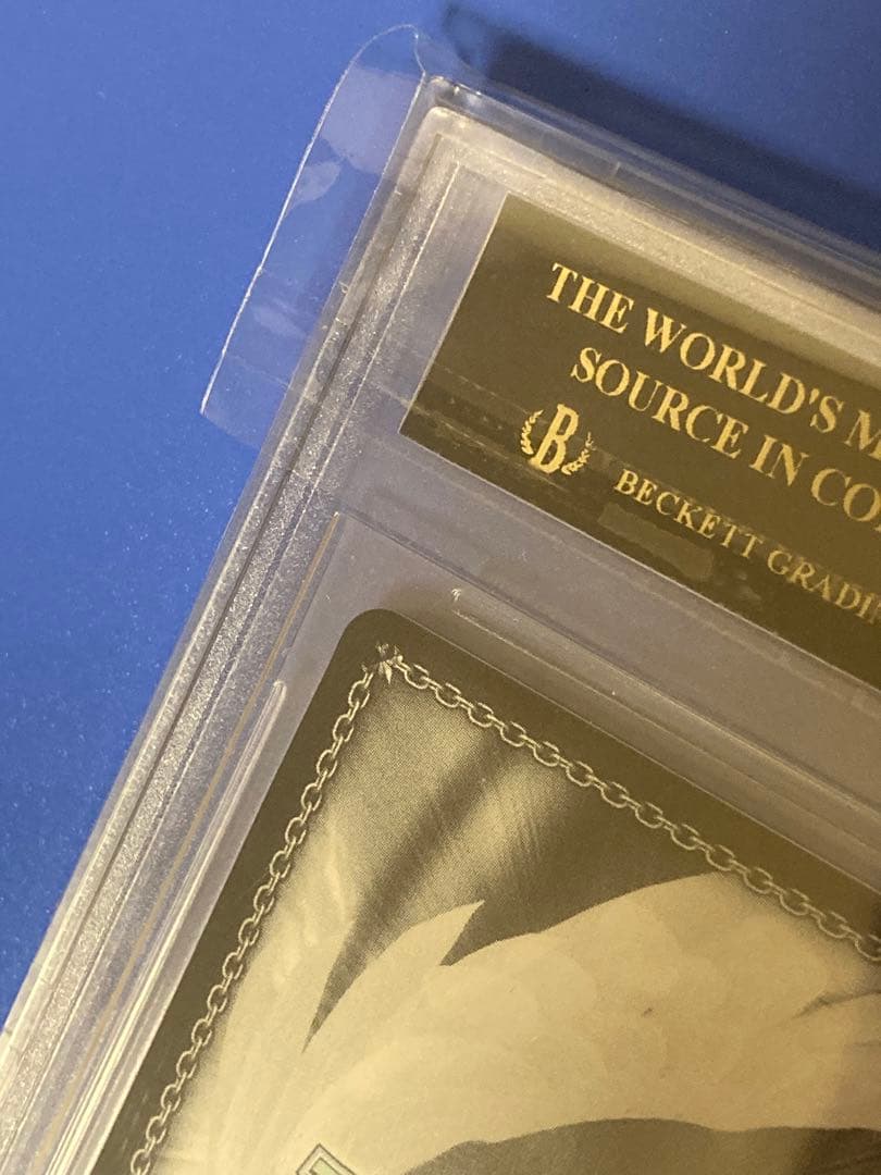 BGS10 ブラックラベル ウォールナットの正体クルミSSP タン☆ホグリオ