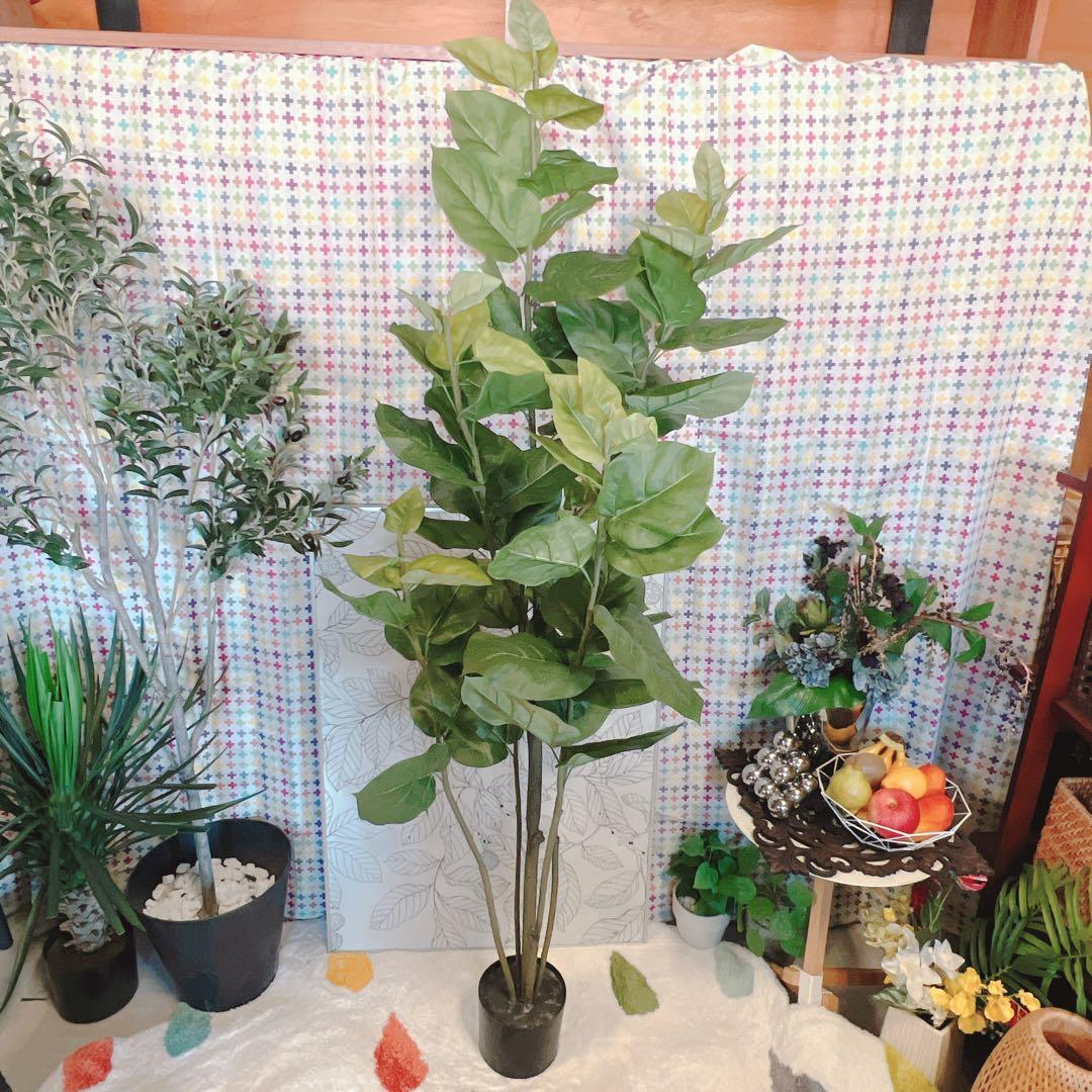 人工観葉植物　フェイクグリーン 楽天市場】フェイクグリーン 観葉植物 フェイク 人工観葉植物 大型