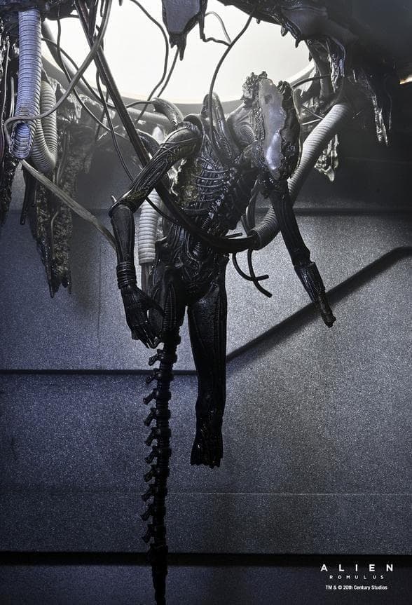 NECA】新品 正規品 エイリアン:ロムルス ゼノモーフXX121 デラックス