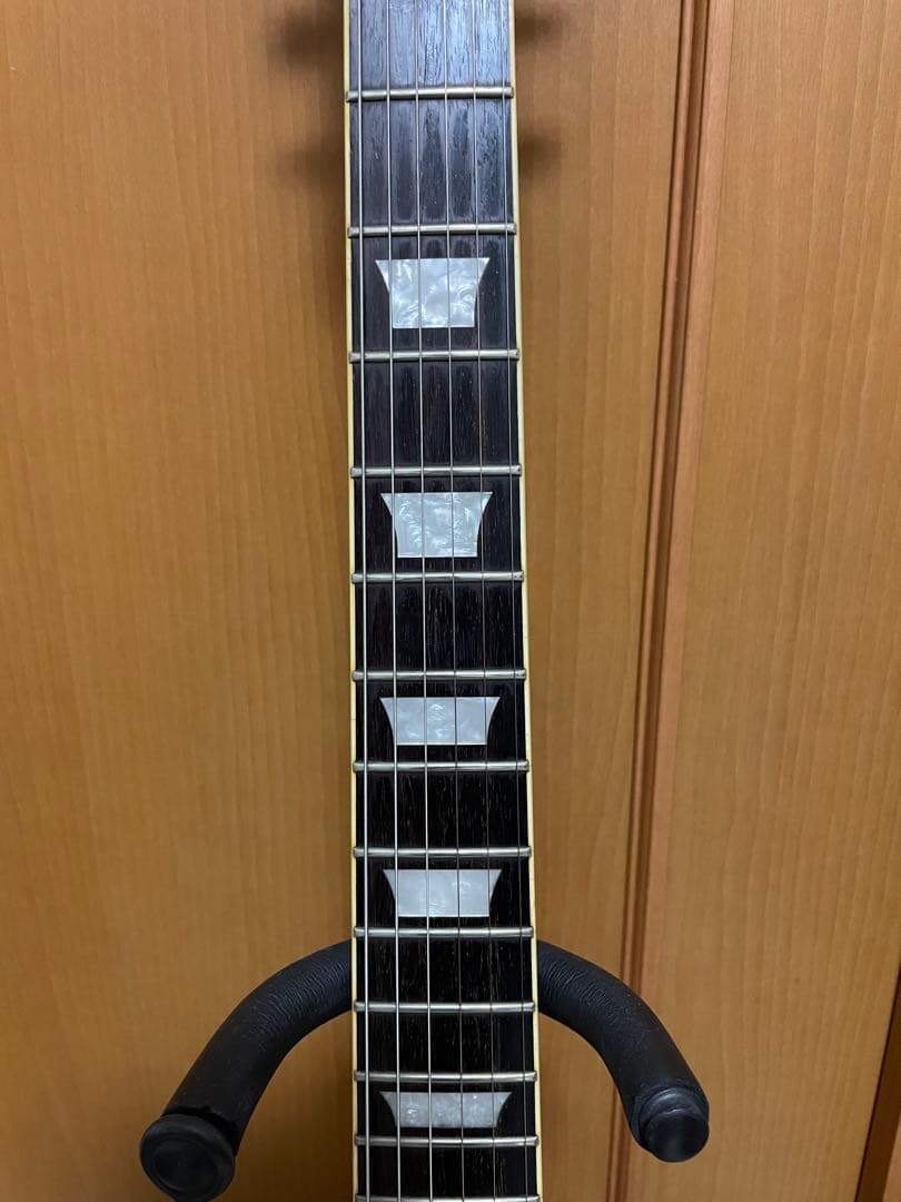 再再値下げバッカス レスポールタイプ EMG-HZ トレモロユニット搭載