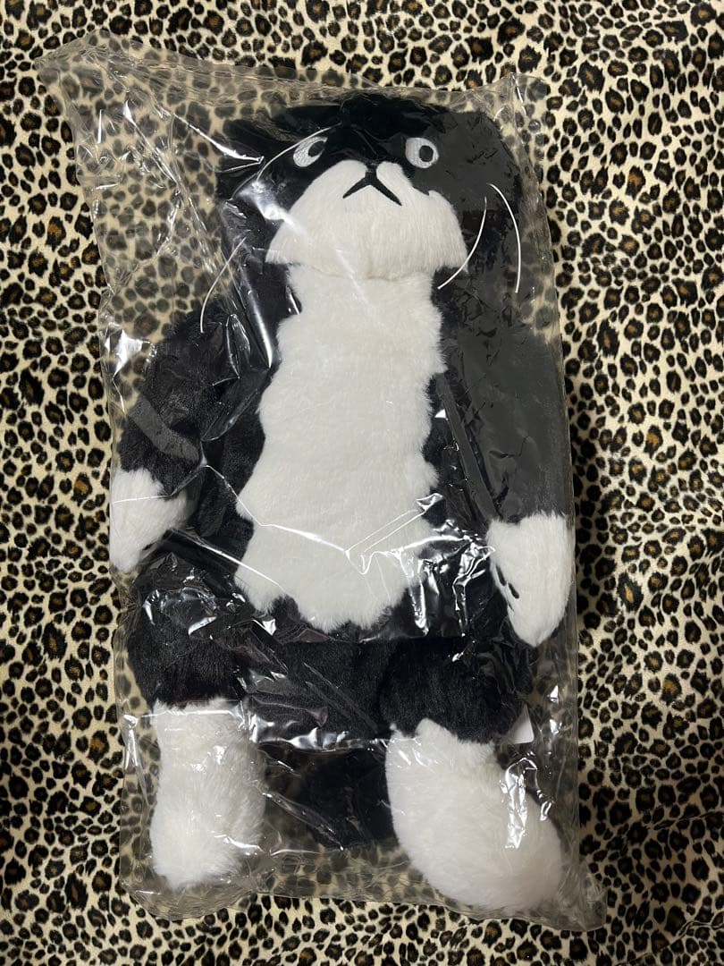 値引可アフタヌーンティー チェ・ヨンジュ 猫のモー ぬいぐるみ 新品