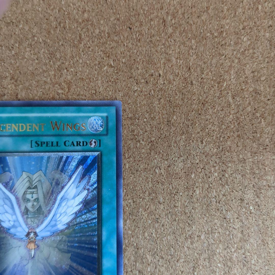 遊戯王旧アジア版1st 進化する翼レリーフ - メルカリ