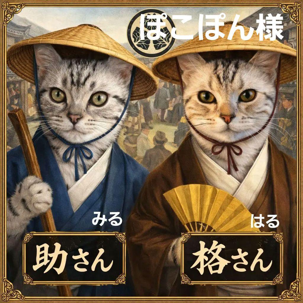 ★ぽこぽん様★