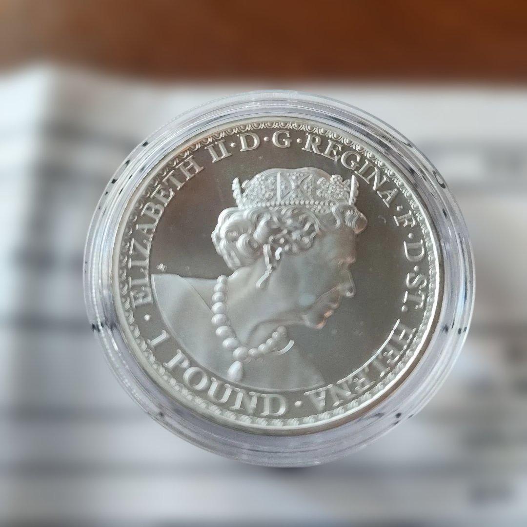 2020年 イギリス セントヘレナ ウナとライオン1ポンド銀貨 - メルカリ
