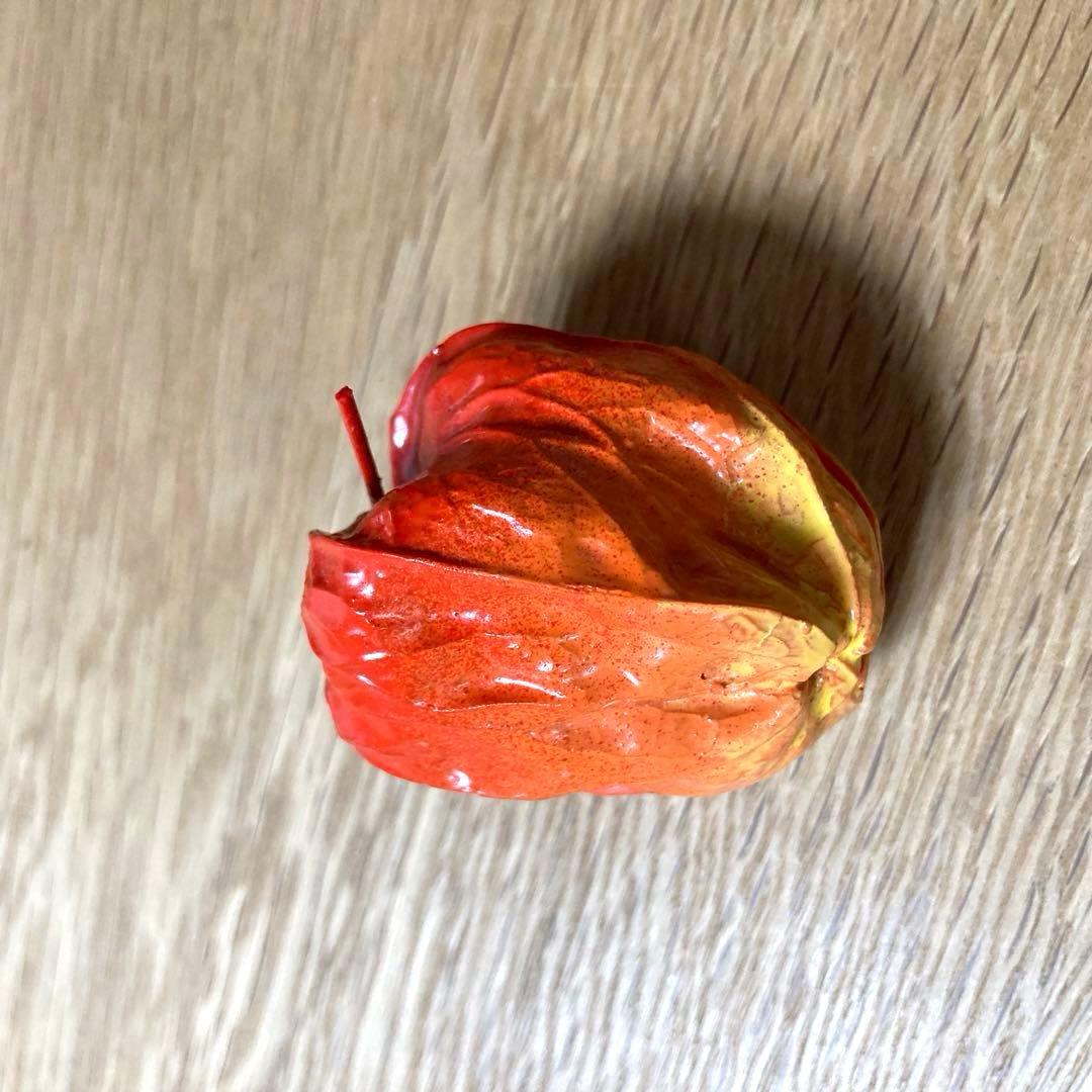茶道具 乾漆 鬼灯 香合 史幸作 - メルカリ