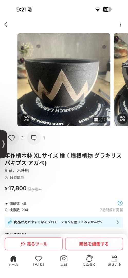 リー 樣確認專用手作植木鉢 XLサイズ 2点検（ 塊根植物 グラキリス