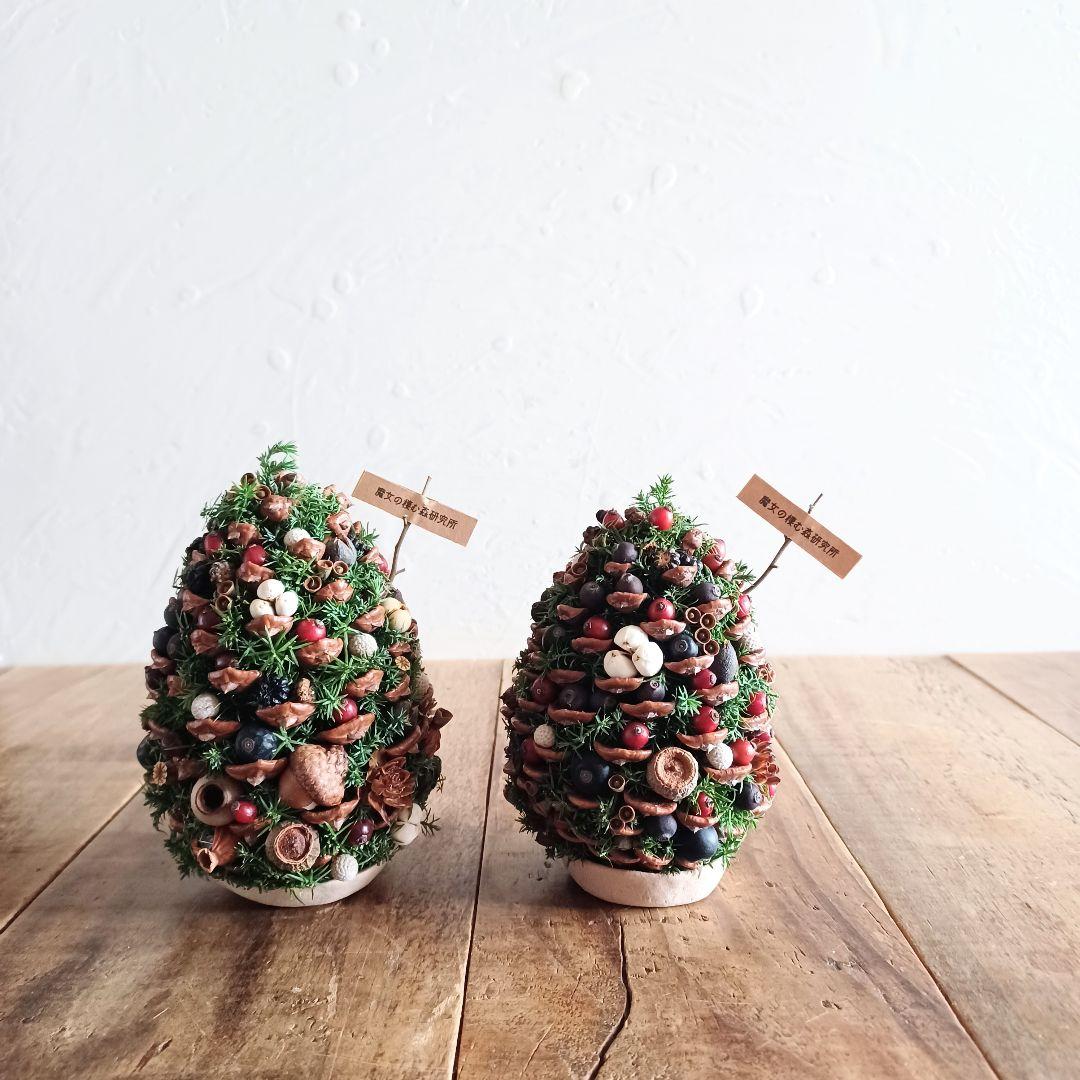 新品 未使用 ドライフラワー ツリー 木の実 松ぼっくり Mサイズ 森のクリスマスツリー ~松ぼっくりと木の実 | iichi 日々の暮らしを
