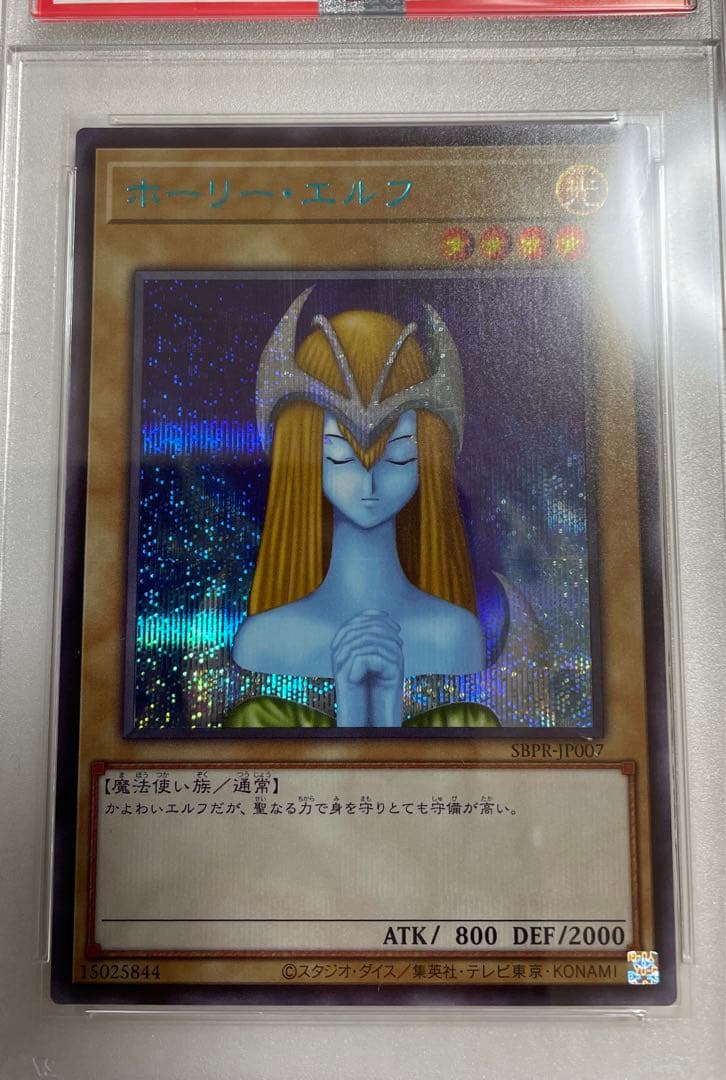 PSA10】ホーリーエルフ ブルシク ブルーシークレット BGS ARS - メルカリ