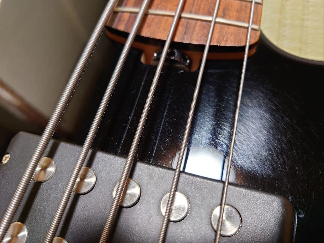 jjj様専用】ESP AP-SL5 5弦ベース ESP純正ソフトケース付き - メルカリ
