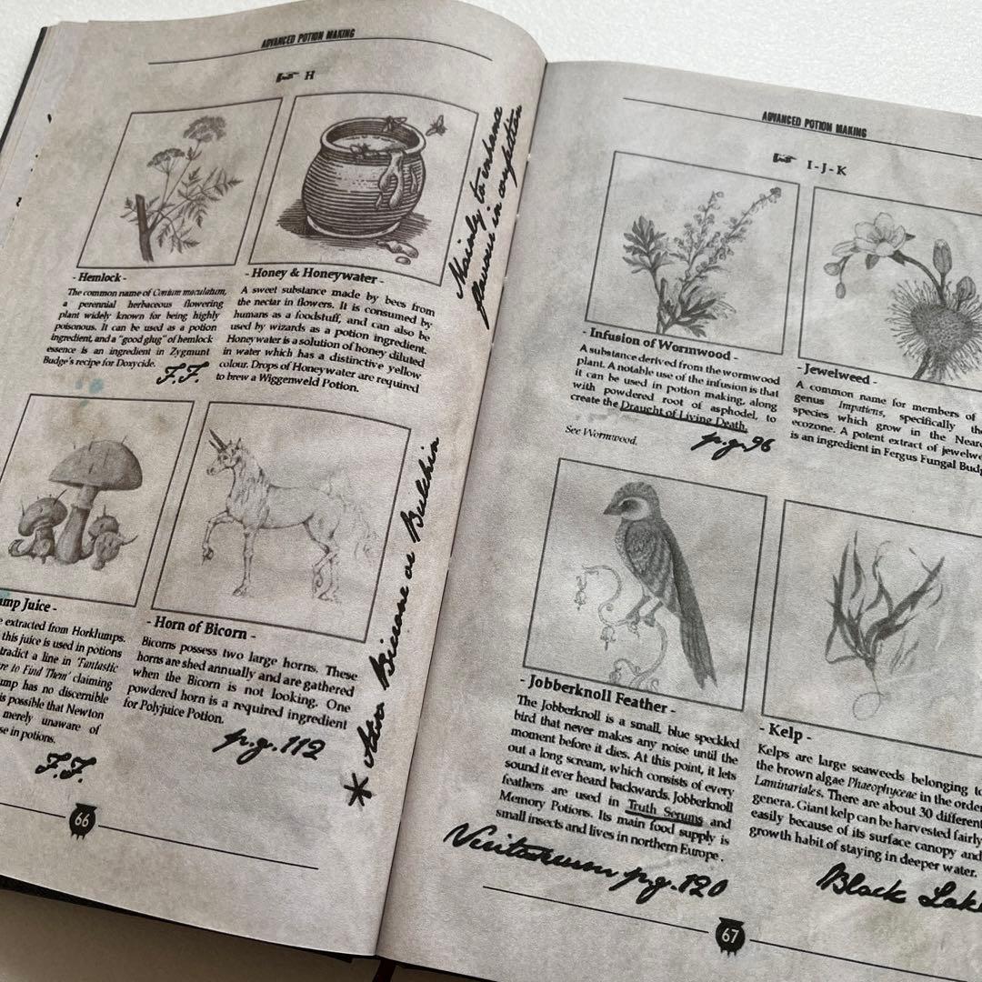 ハリーポッター 魔法薬学 教科書 中身あり《新品未使用》 ④ - メルカリ