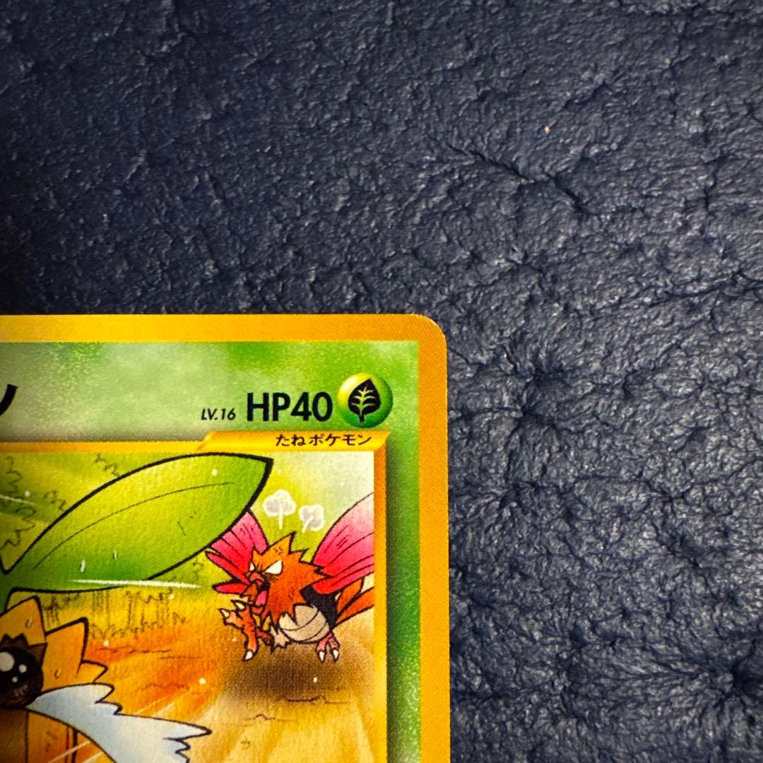 ヒマナッツ_「ポケモンカードになったワケ 4巻」 おまけカード PROMO