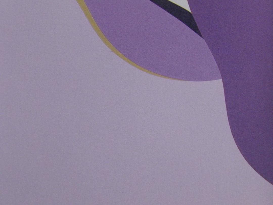 戸嶋但、【桜花】、希少な大判額装用画集より、美品、日本人画家、新品