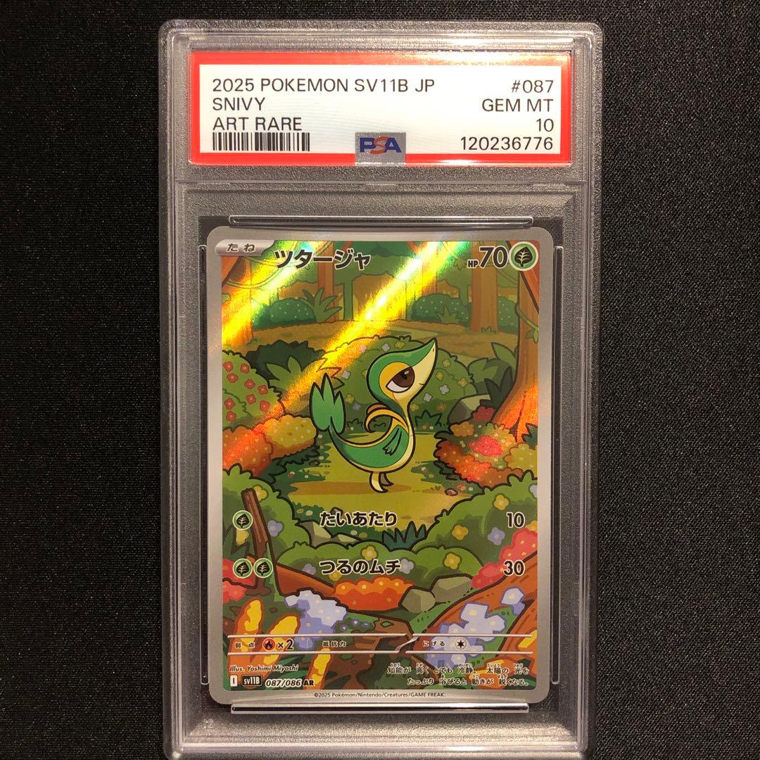 PSA10】ツタージャ ポカブ ミジュマル AR 連番 御三家 - メルカリ
