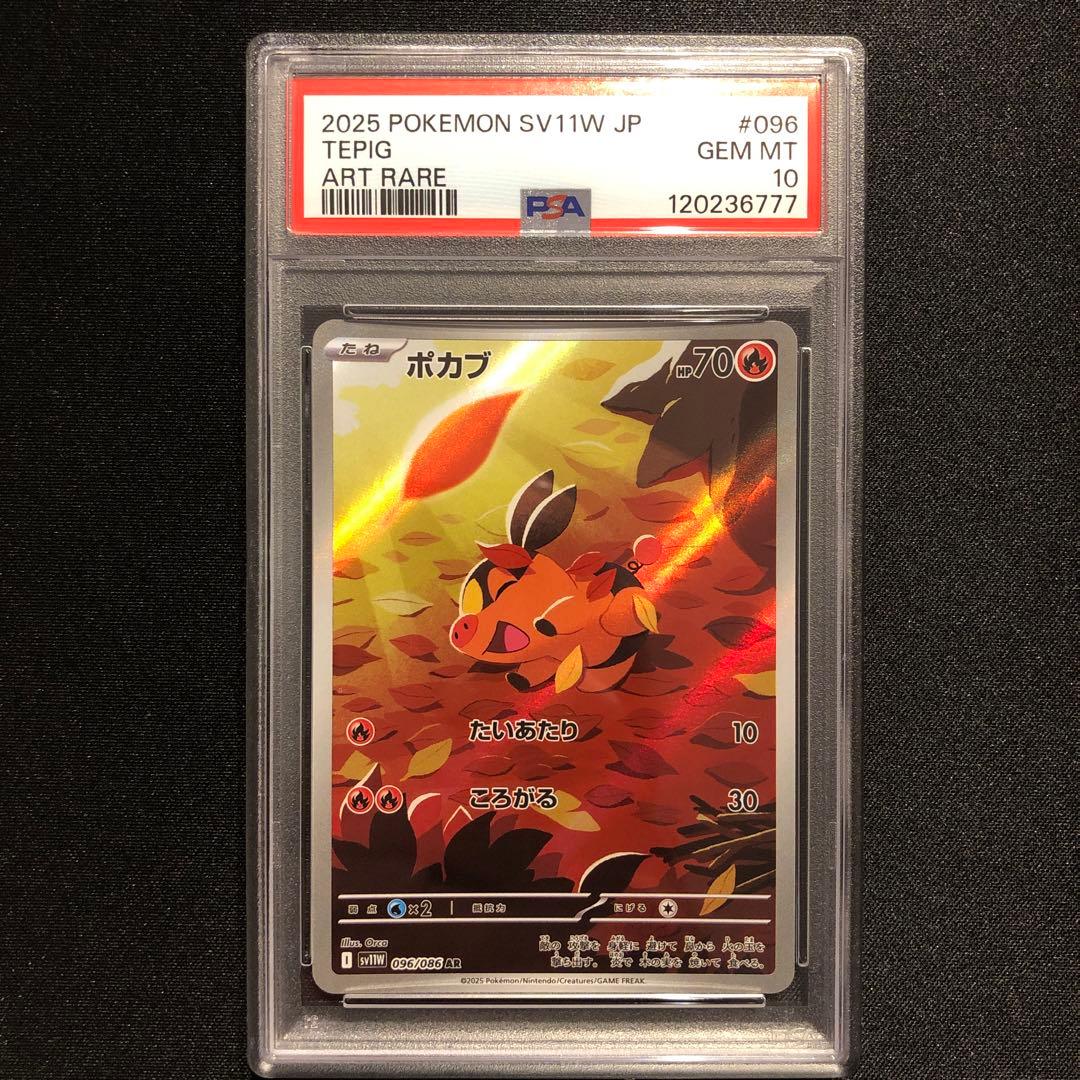 PSA10】ツタージャ ポカブ ミジュマル AR 連番 御三家 - メルカリ