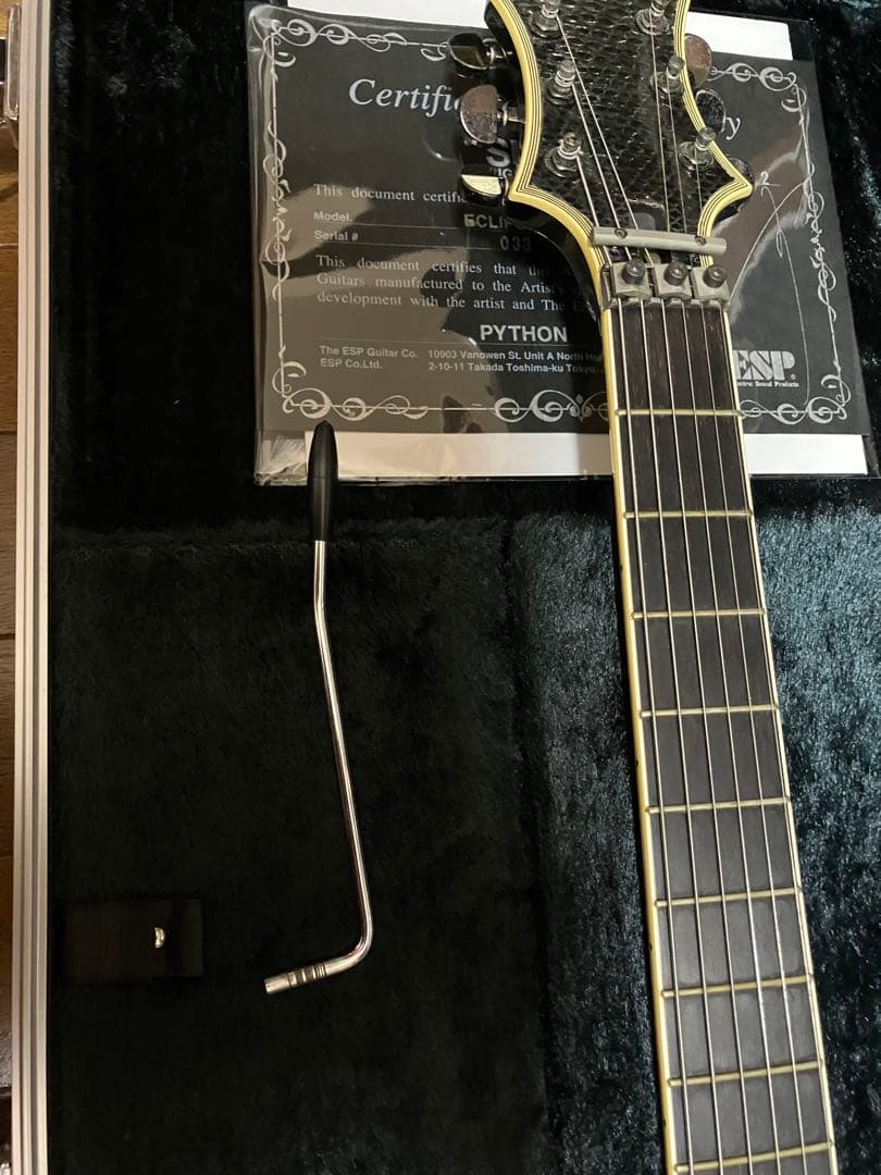 daizo様専用 ESP SUGIZO eclips ブラックパイソンs-1 - メルカリ