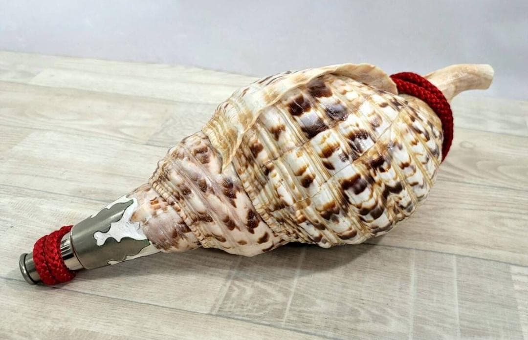 法螺貝 ホラ貝 約38cm 重量1276g(紐込) 山伏 修験道 魔除け 現状品