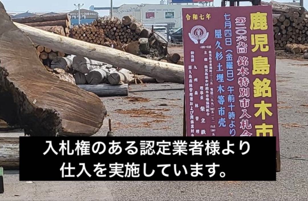 ths様専用】屋久杉 一枚板 長尺幅広材 ウレタン塗装 - メルカリ