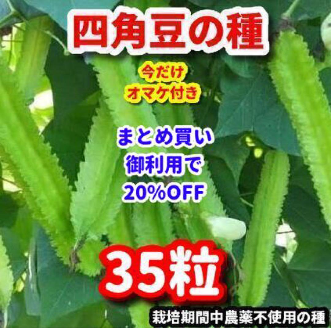 るーちゃん様 リクエスト 2点 まとめ商品 - メルカリ