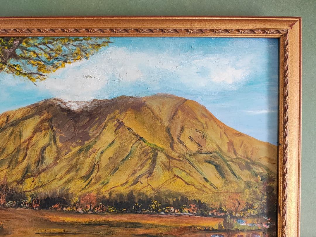 即発送】F30号 公募展 金装飾額（軽量ガラス無）白日会展可 保護用絵画