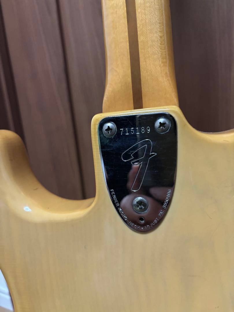 Fender USA 1976年製 ハードテイル ストラトキャスター - メルカリ