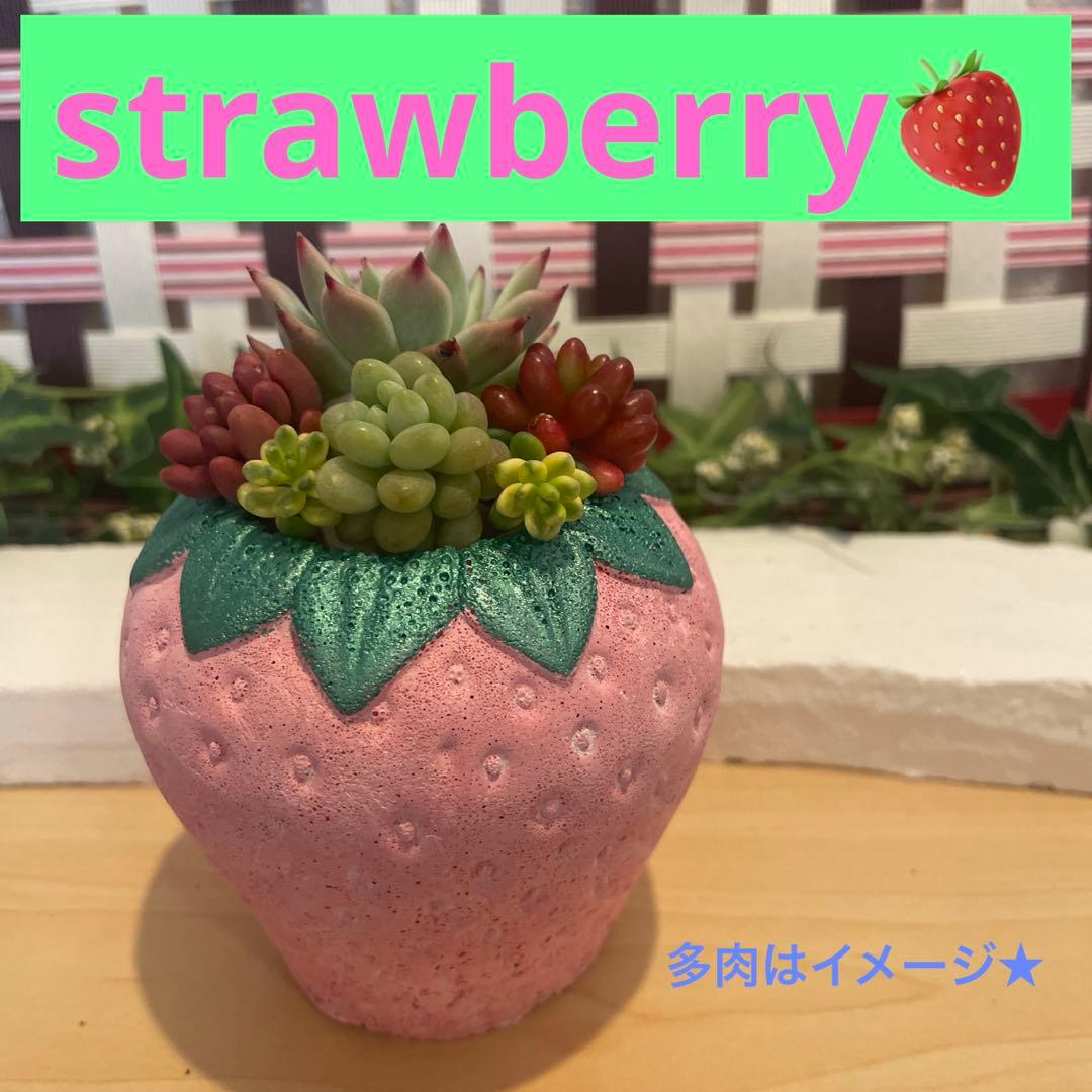 453☆strawberry赤 モルタル雑貨 （お任せ植物付き）486 - メルカリ