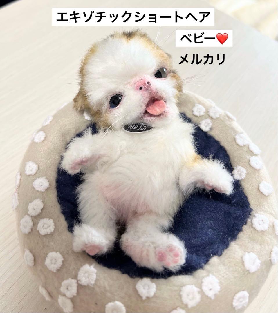 作家様 猫 ネコ テディベア ぬいぐるみ アーティストベア アートドール