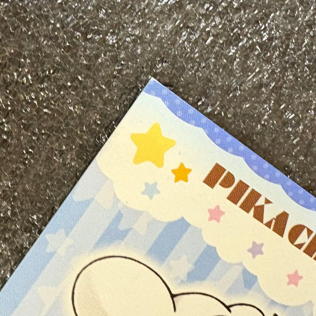 ポケモンセンター ポンチョを着たピカチュウ 名刺カード メガ