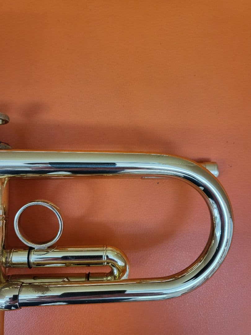 Carol Brass ZORRO C-line Cozy Special - メルカリ