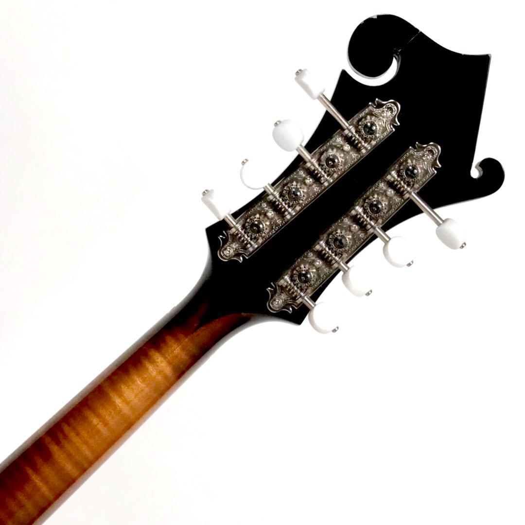 Dano Custom Mandolin F type フラットマンドリン - メルカリ