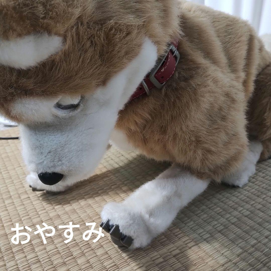 z【一部難あり】 電動 ペットロボット ココチモ 愛犬しばちゃん 等身大