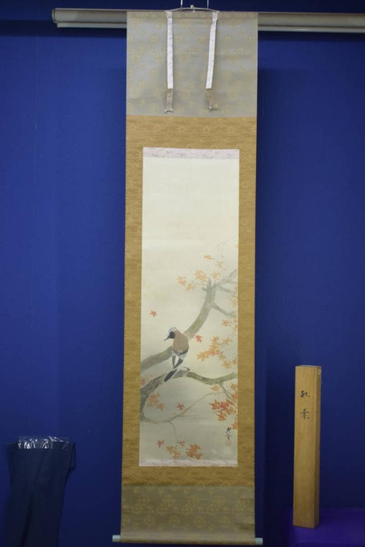 真作/寺崎広業/小禽紅葉図/絹表装/桐共箱付/布袋屋掛軸HJ-74 - メルカリ