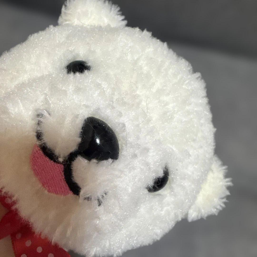 しろくま アカシアちゃん ぬいぐるみ（コロルくんの妹）北海道 赤