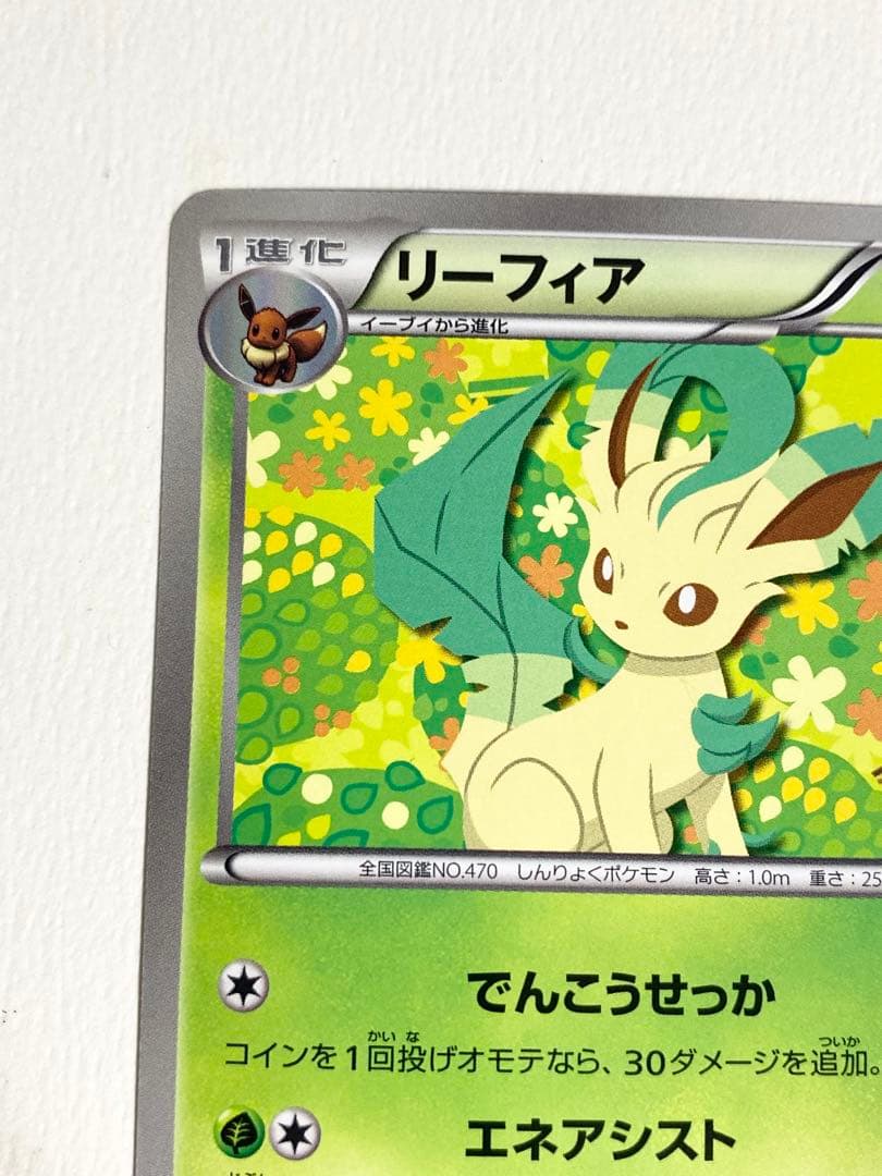 ポケモンカードゲーム bw-p コレクションファイル リーフィア 希少 182